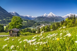 Chalet d'alpage : la restriction d’usage n’est pas anticonstitutionnelle